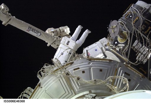 Flight Engineer Pettit and Commander Bowersox work in tandem on a session of EVA