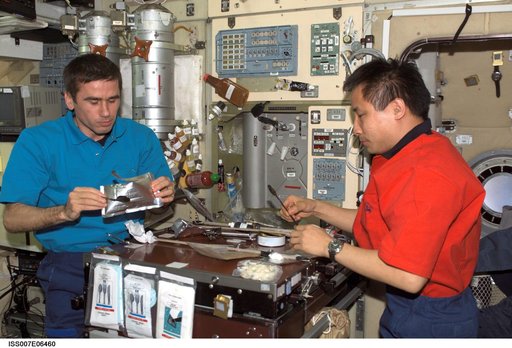 Expedition Seven CDR Malenchenko and Science Officer Lu share meal in Zvezda