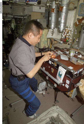 Expedition Seven Science Officer Lu slices tomatoes in Zvezda module