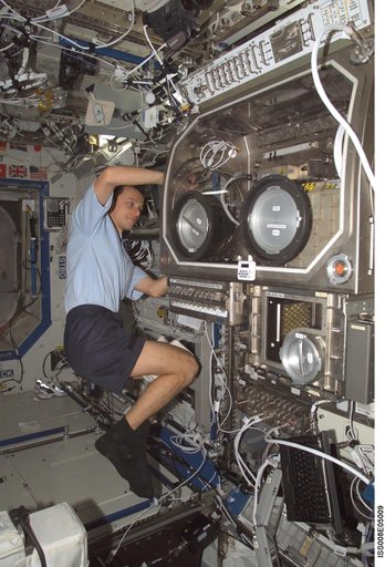 Duque works at the MSG for PromISS 2  in the Lab during Expedition Seven / 8 OPS