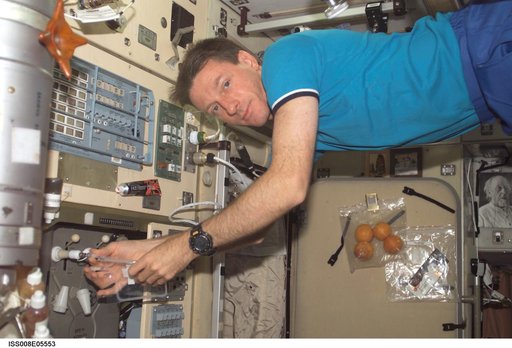 Foale performs potable water analysis OPS in the SM during Expedition 8