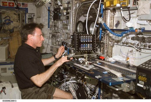Foale uses takes photographs of a BCAT SGSM in the  U.S. Lab during Expedition 8