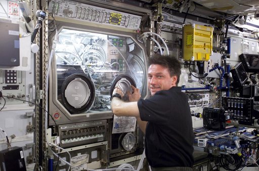 Foale works at the MSG / ESEM in the U.S. Lab during Expedition 8