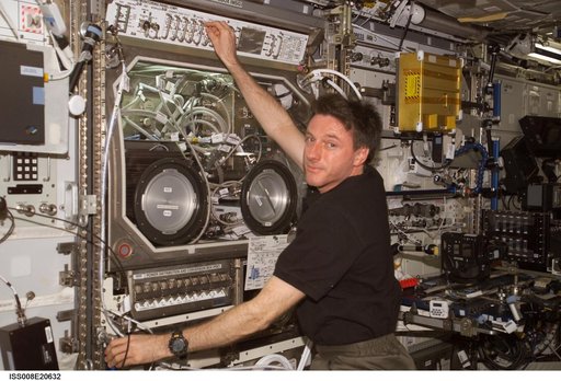 Foale works at the MSG / ESEM in the U.S. Lab during Expedition 8