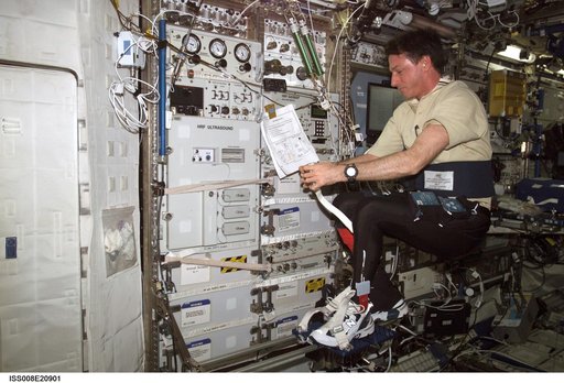 Foale performs FOOT experiment OPS in the U.S. Lab during Expedition 8
