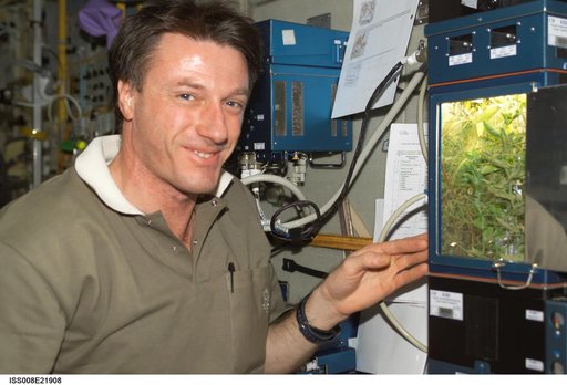 Foale poses beside the LADA-4 greenhouse in the U.S. Lab during Expedition 8