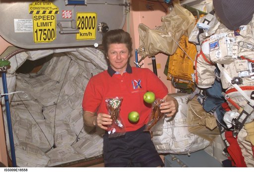 Padalka holds packages of food unloaded from the Progress 15P vehicle during Expedition 9