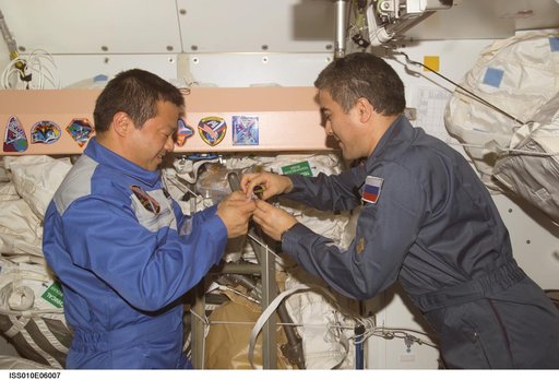 Chiao and Sharipov in the Node 1