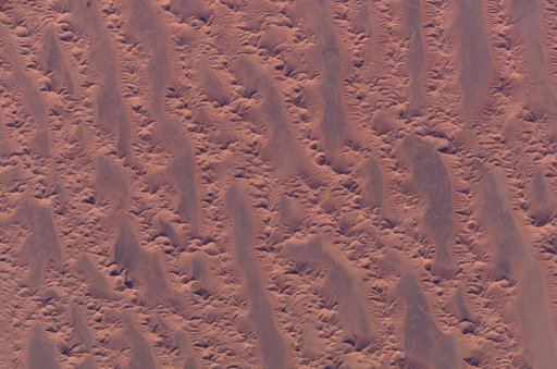 Earth Observations taken by the Expedition 10 crew