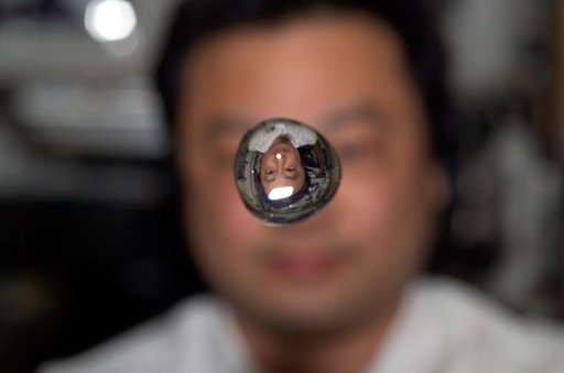 Chiao watches a water bubble float in the SM taken during Expedition 10