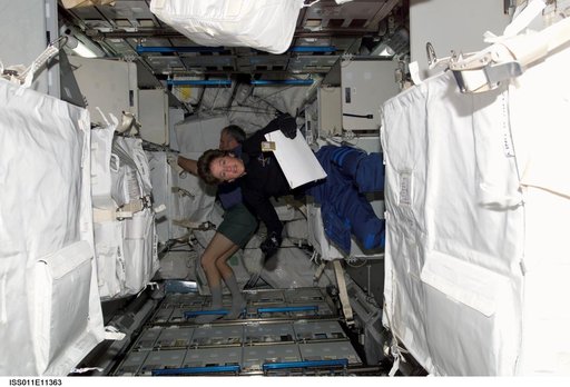 Lawrence in MPLM  during transfer operations.