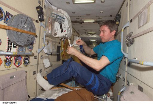Krikalev in FGB