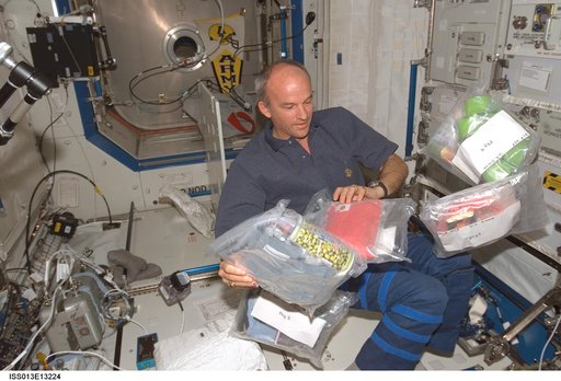 Williams watches plastic bags float in the U.S. Laboratory during Expedition 13