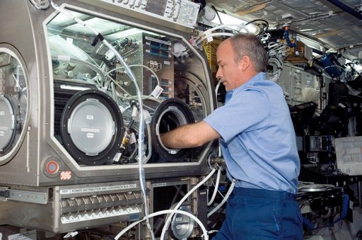 Williams works at the MSG during Expedition 13