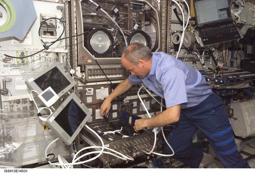 Williams works at the MSG during Expedition 13