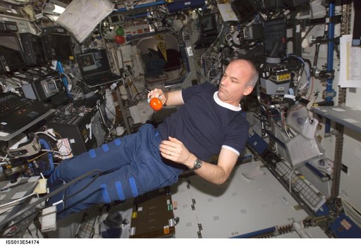 Williams in Destiny Laboratory during Expedition 13