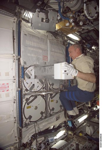 Williams working in the U.S. Laboratory during Expedition 13