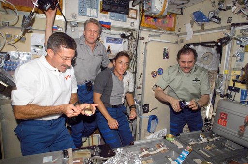 Expedition 13 / STS-115 Crewmembers in the SM