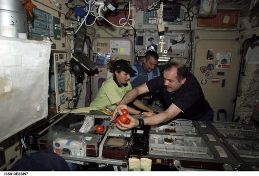 Vinogradov, Ansari, and Tyurin prepare for a meal in the SM