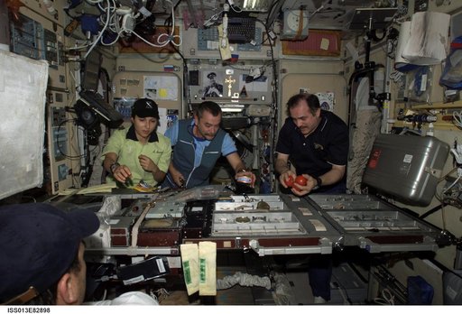 Vinogradov, Ansari, and Tyurin prepare for a meal in the SM