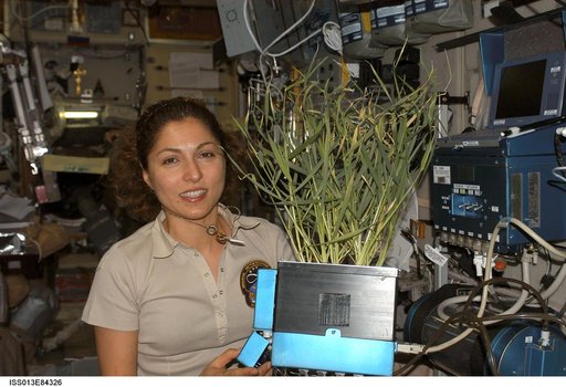 Ansari poses with the BIO-5 Rasteniya-2 Plants