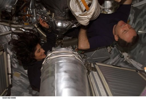 Lopez-Alegria and Williams with Water Tanks in Progress 24 spacecraft
