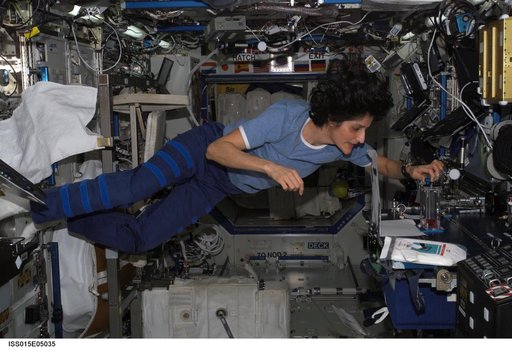 Williams during Capillary Flow Experiment Hardware Setup in the US Lab