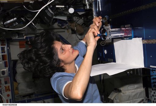 Williams during Capillary Flow Experiment Hardware Setup in the US Lab