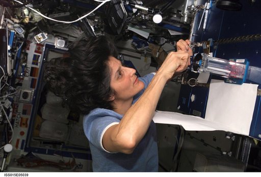 Williams during Capillary Flow Experiment Hardware Setup in the US Lab