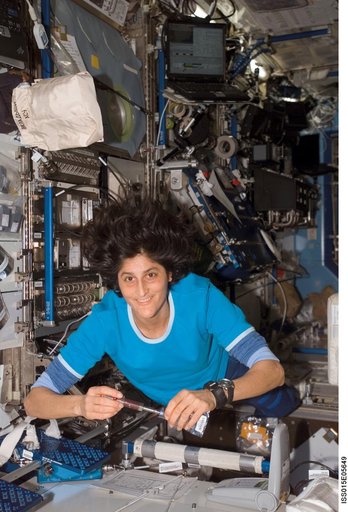 Williams working on the LOCAD-PTS Experiment in the US Lab during Expedition 15