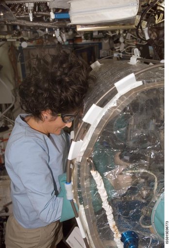 Williams works with LOCAD-PTS Experiment Hardware in the US Lab during Expedition 15