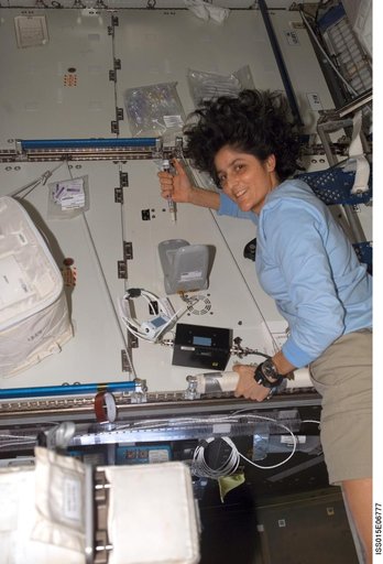 Williams works on the LOCAD-PTS Experiment in the US Lab during Expedition 15