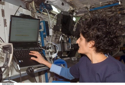 Williams sets up SWAB experiment in the US Lab during Expedition 15