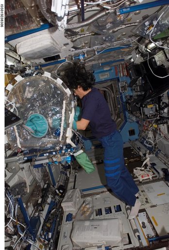 Williams working at a MWA during Expedition 15