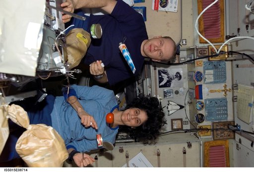 Williams and Yurchikhin share a meal in the SM during Expedition 15