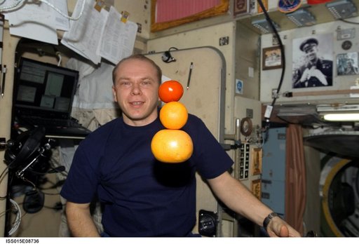 Kotov in the SM during Expedition 15