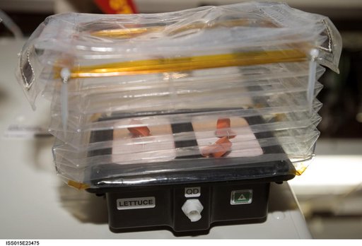 Documentation of Plant Growth in an EPO-Kit C Chamber taken during Expedition 15