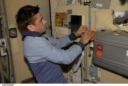 Expedition 16 FE Malenchenko working on the Conjugation Experiment Hardware in the SM