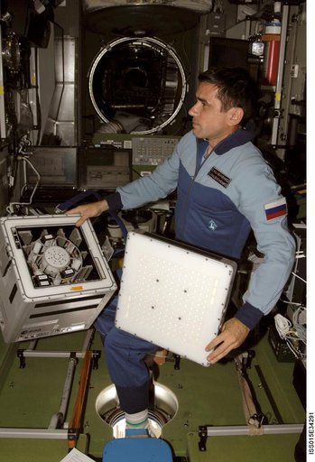 Expedition 16 FE Malenchenko works on the P-KINASE Experiment in the SM