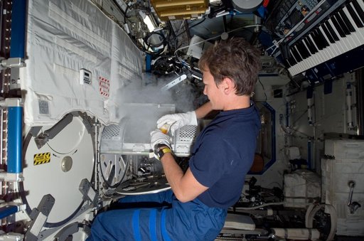 Whitson working on the Nutrition Experiment during Expedition 15/Expedition 16