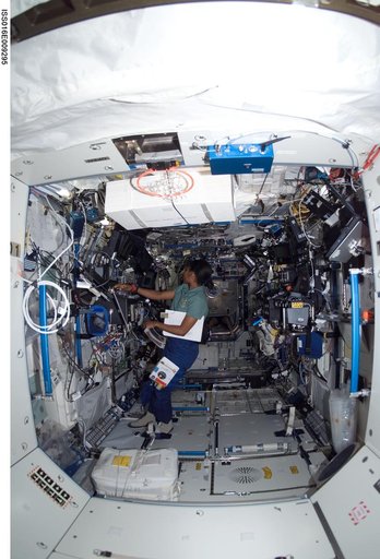 Wilson in the US Lab during Expedition 16 / STS-120 joint operations
