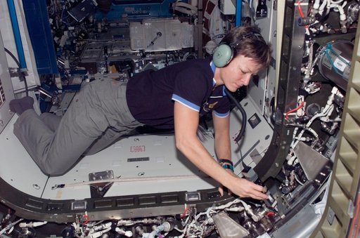 Whitson during Node 2 outfitting