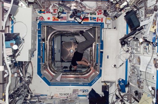 Whitson during Node 2 outfitting