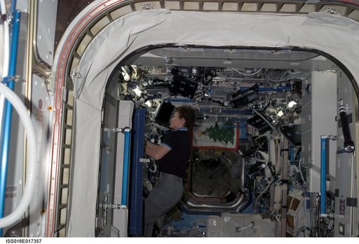 Whitson in US Lab