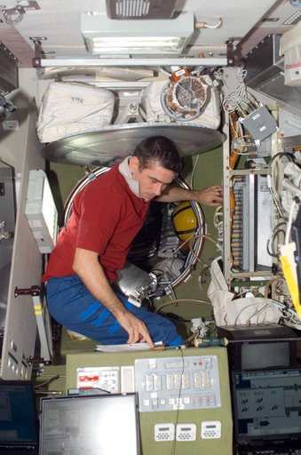 Malenchenko in the SM