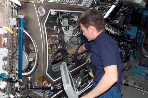 Whitson works with InSPACE-2 in the MSG in the US Lab