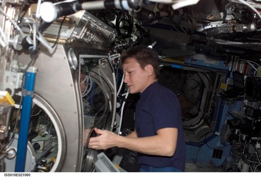 Whitson works with InSPACE-2 in the MSG in the US Lab