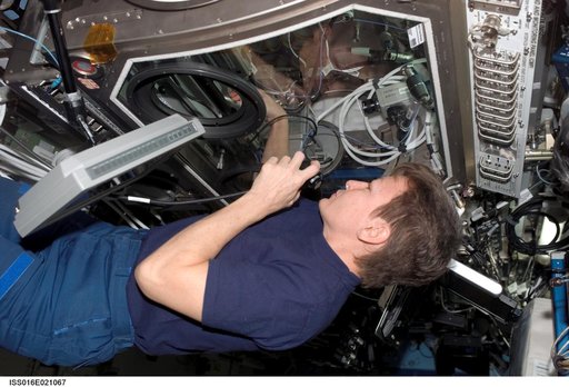 Whitson works with InSPACE-2 in the MSG in the US Lab