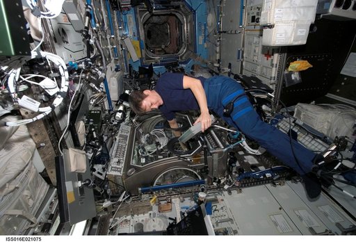 Whitson works with InSPACE-2 in the MSG in the US Lab