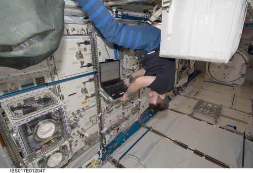 Chamitoff works on the SAIBO Rack in the JEM during Expedition 17
